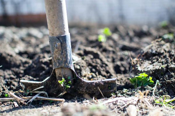 five books to make you a better gardener, cook and recycler