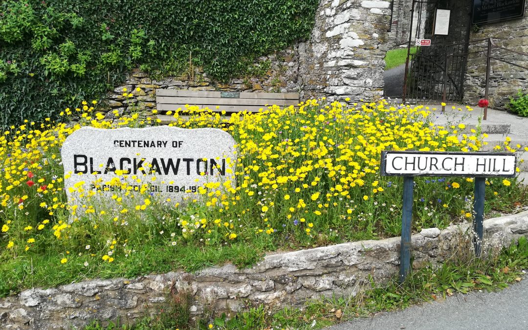 Blooming Blackawton