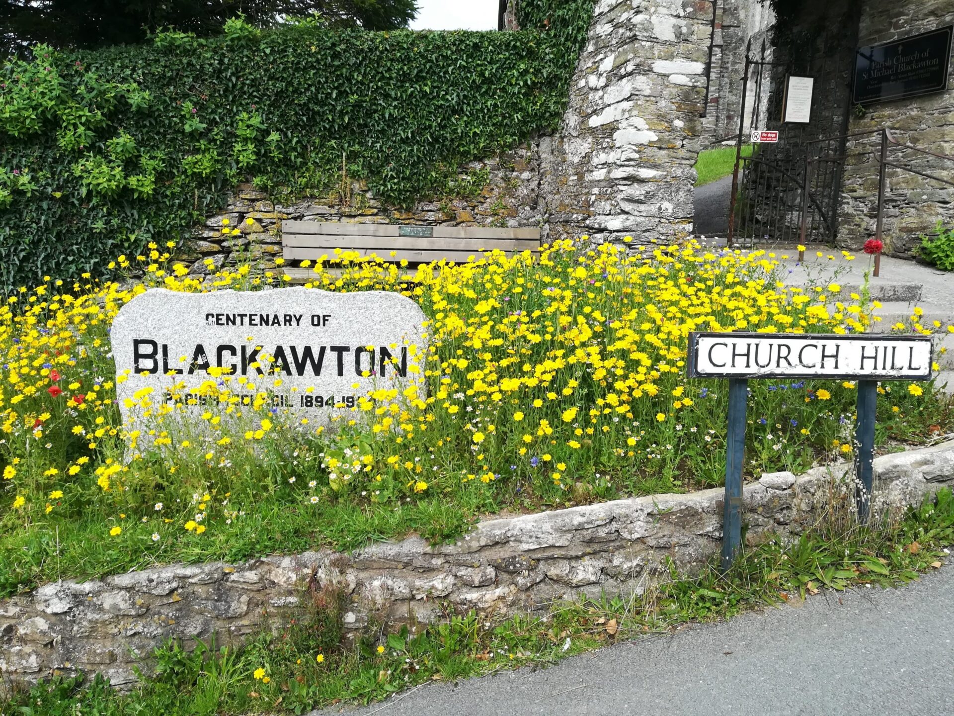Blackawton in Bloom