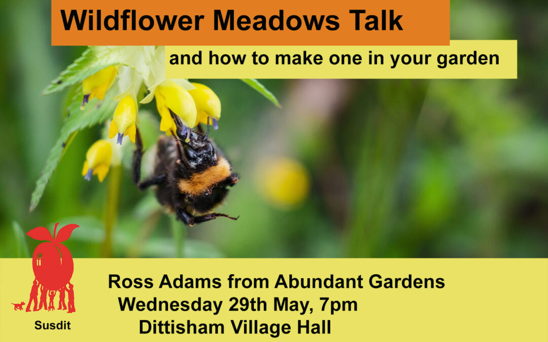wildflower meadow talk