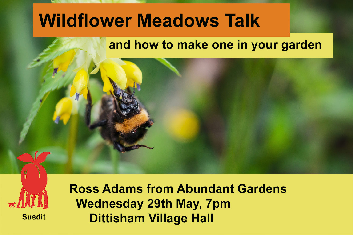 wildflower meadow talk